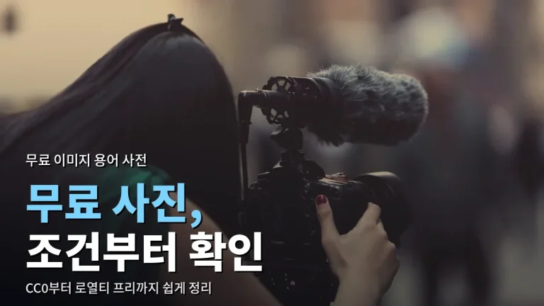 무료 이미지 라이선스 용어 정리 - CC0, 퍼블릭 도메인, CC BY, 로열티 프리 차이